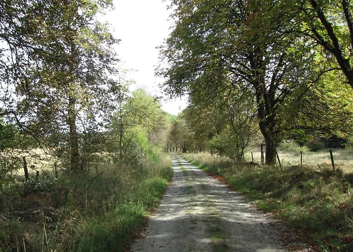 Lägenhet Hugo37 Am Bergpark *